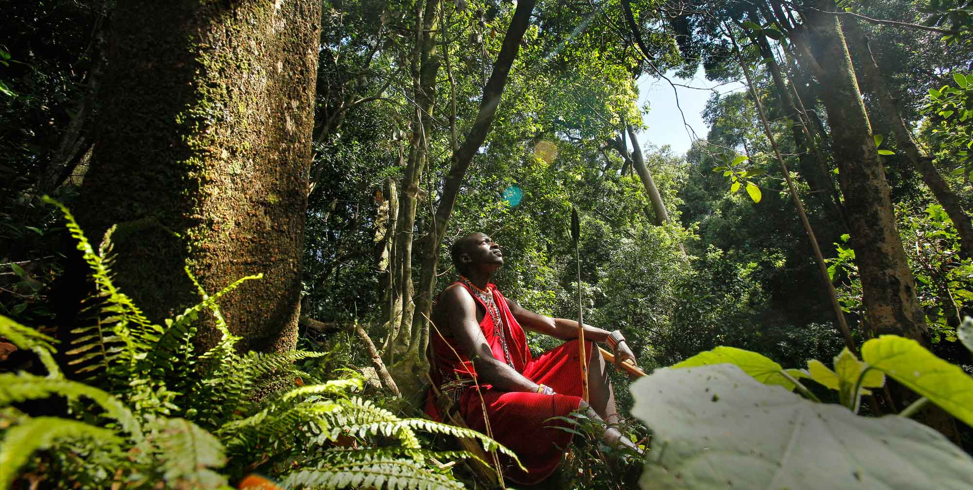 maasai in forest