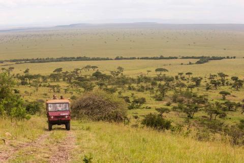 GAME DRIVES