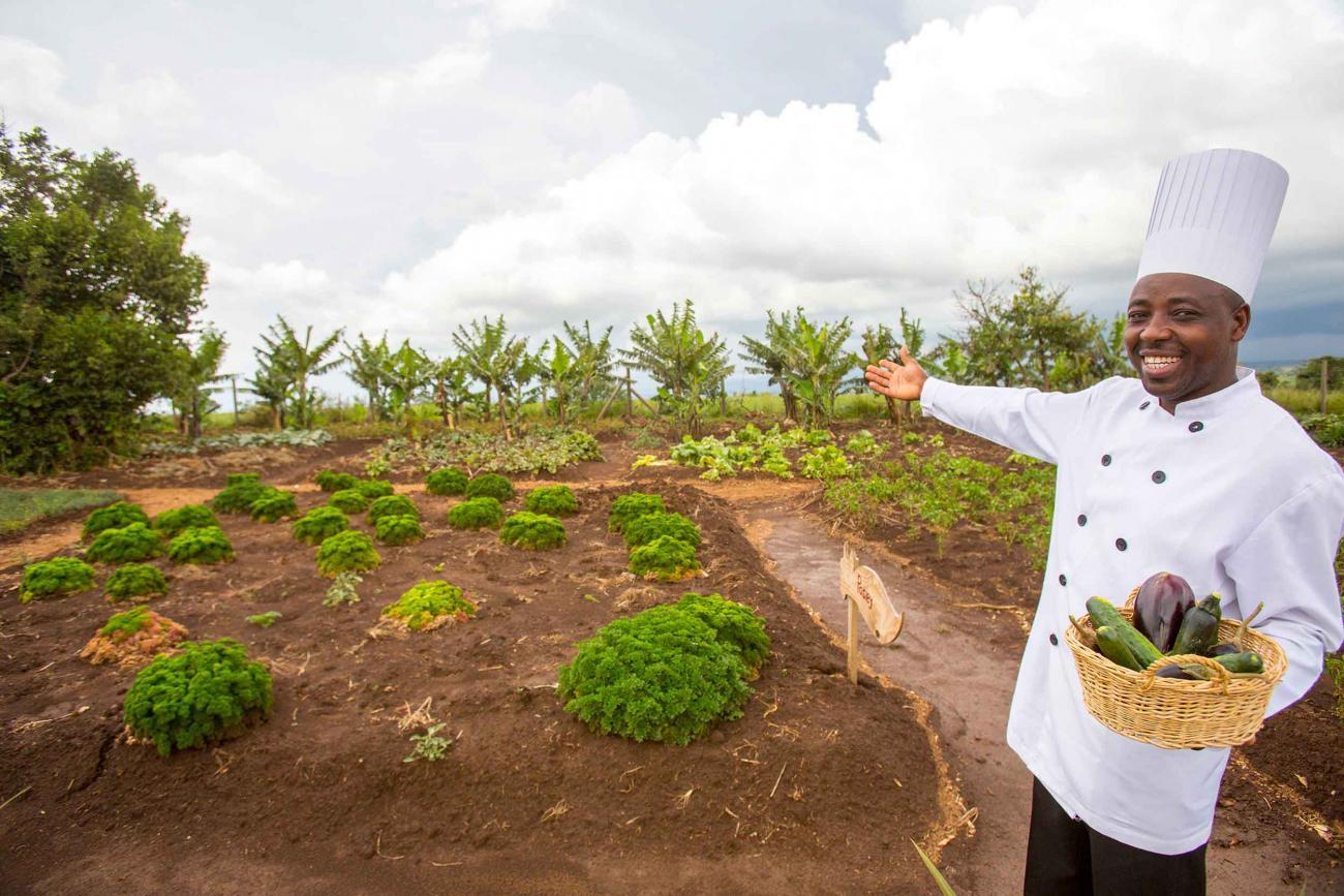 Organic Garden