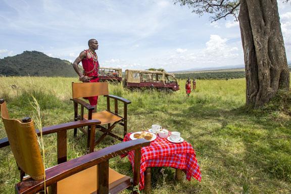 Picnic Lunch