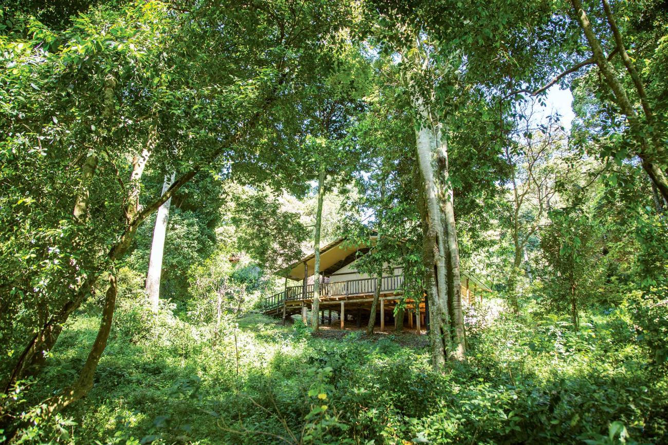 Tent suite